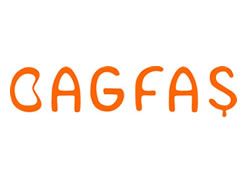 Bagfas Bayisi