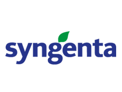 Syngenta Bayisi