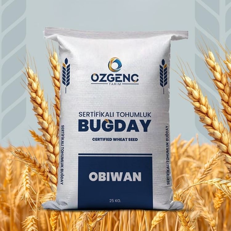 OBIWAN KIRMIZI EKMEKLİK BUĞDAY